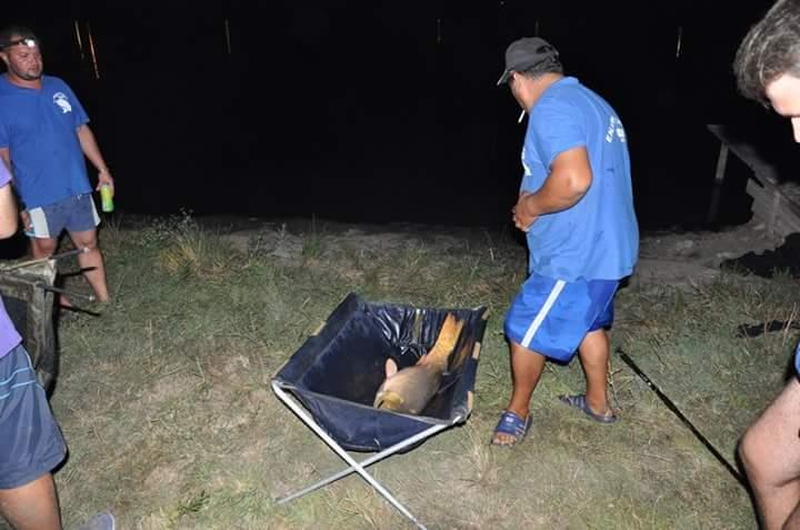 Cupa Carpbait Rediu-2015 - fbimg1454313974107.jpg